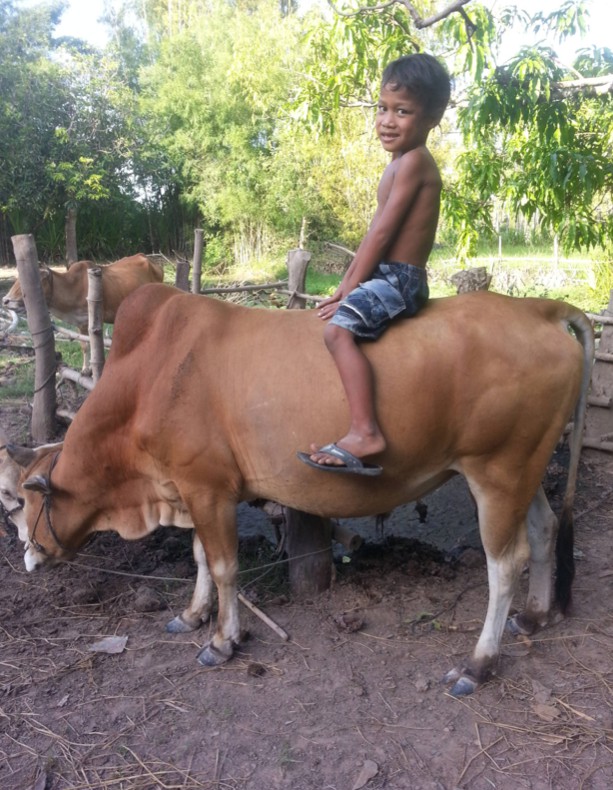 kaleidoscope child foundation Cambodia Volunteer Trip 2014